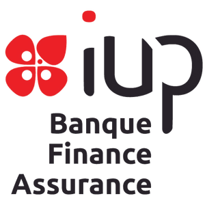 logo IUP Banque Finance Assurance